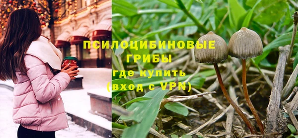 первитин Белокуриха