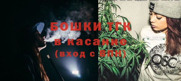 шишки Семилуки