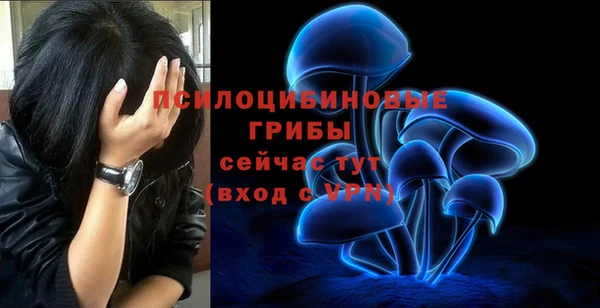 первитин Белокуриха