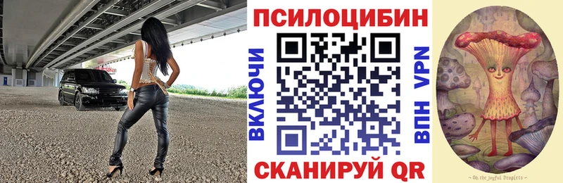 Галлюциногенные грибы Psilocybe Балей